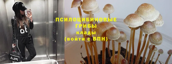гидра Волосово