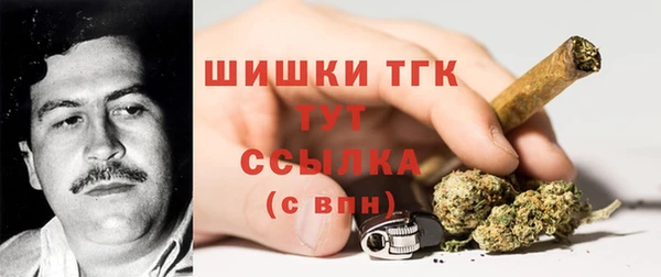 гидра Волосово